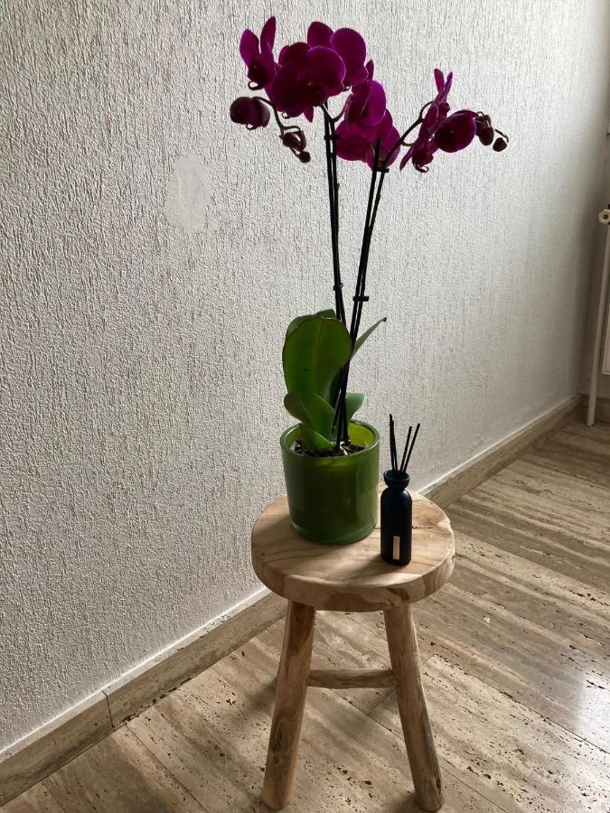 Rustig Appartement In Het Groen Met Terras Kontich Экстерьер фото